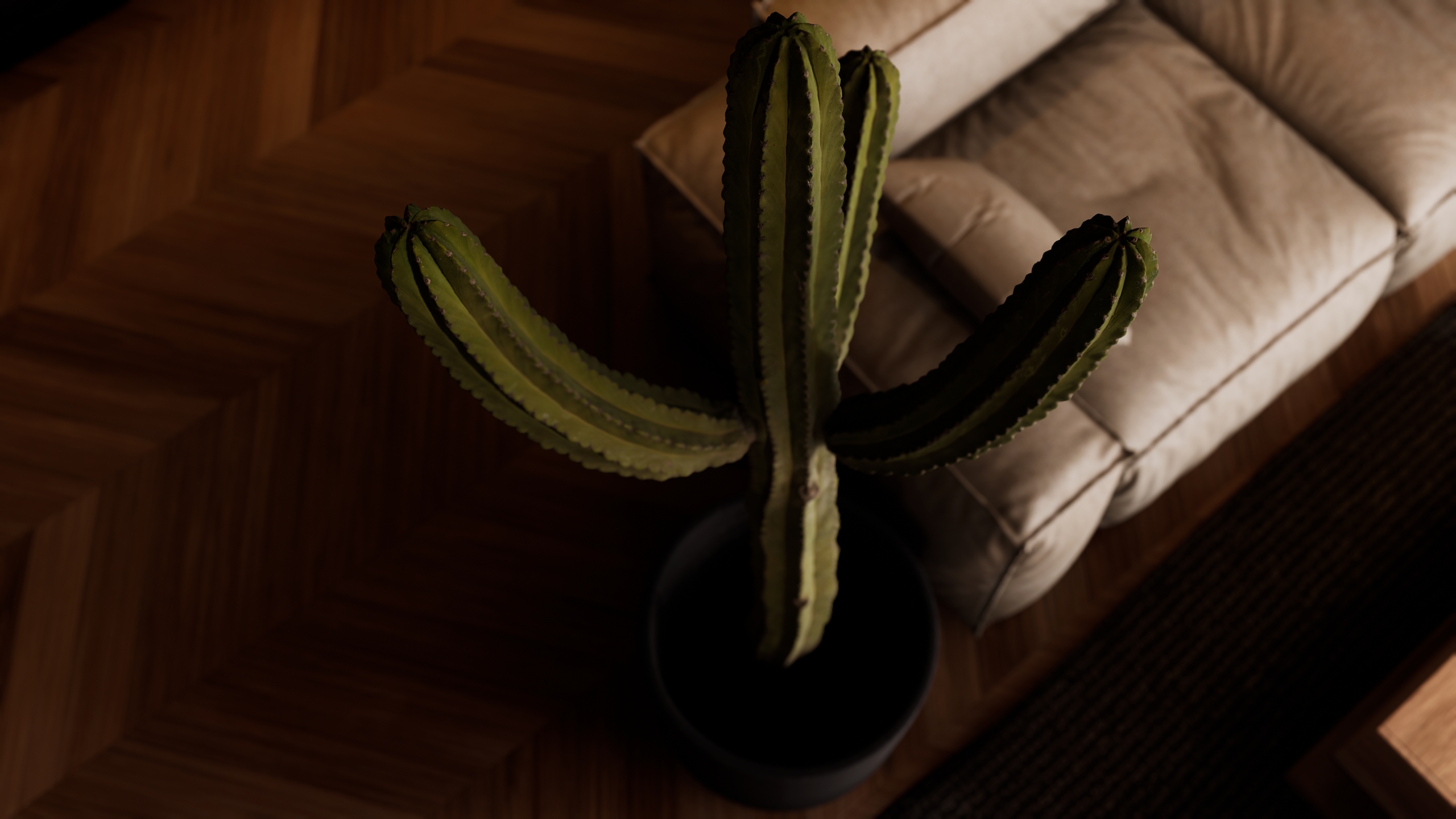 Desert Home — courtyard